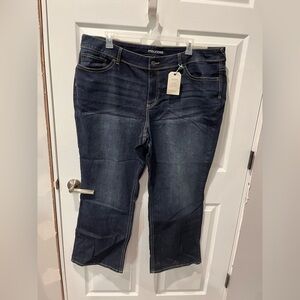 🟣Maurices Dark Blue Women Jeans